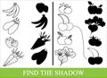 Color vegetables, fruits and berries and find the correct shadow